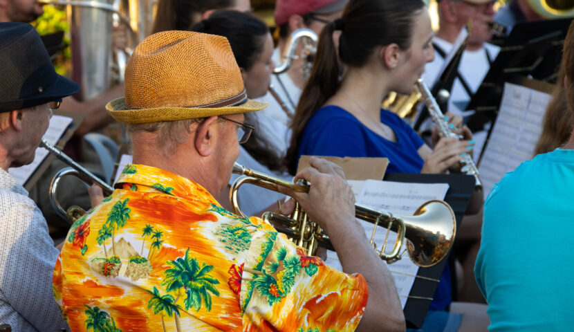 Fête de la musique : appel aux candidatures