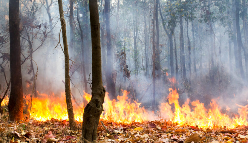 Vigilance jaune – Risque incendie faible à modéré