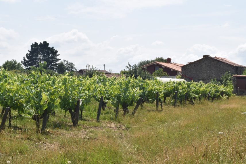 Site Officiel De Vallet Loire Atlantique